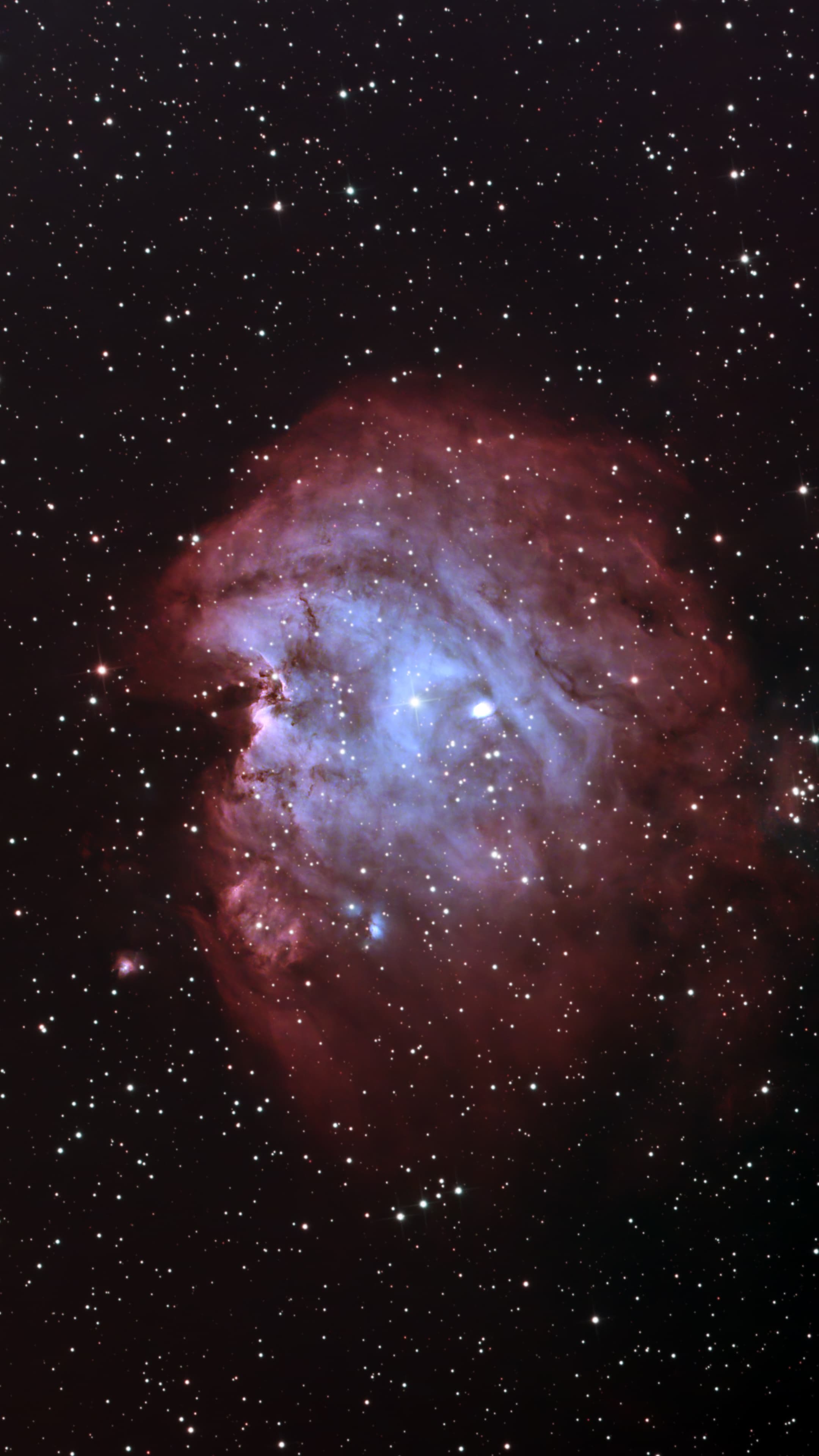 NGC 2175 - The Monkey Head Nebula