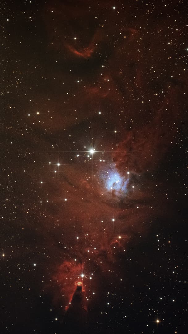 NGC 2264 - Cone Nebula & Christmas Tree Cluster