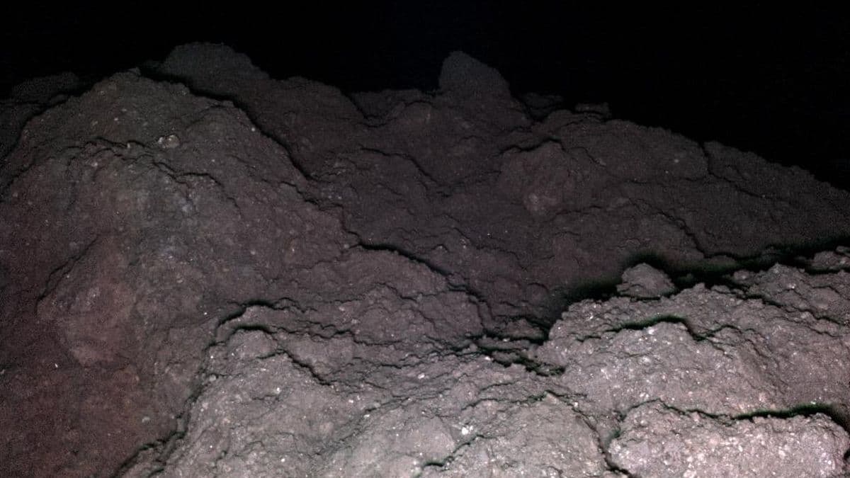 Asteroid Ryugu Reveals Complete Set of DNA's Building Blocks
