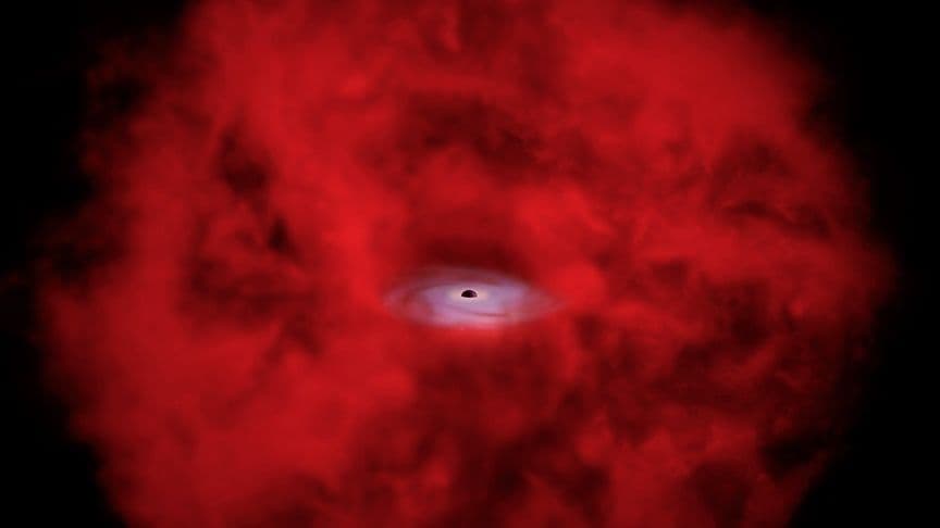 James Webb's 'Little Red Dots' May Be Black Hole Stars, X-ray Data Suggests