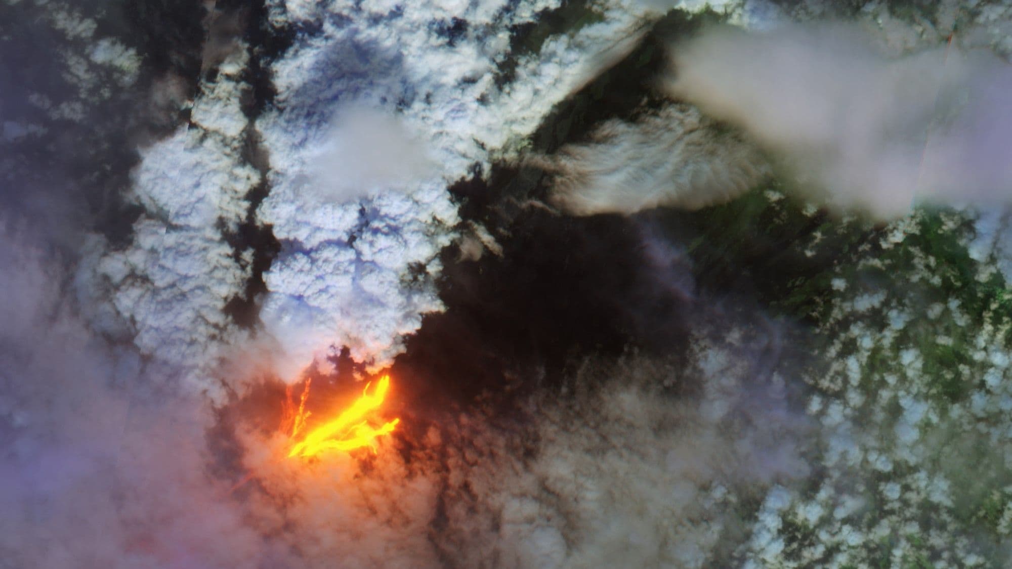 Using Earth Volcanism to Understand Venus: A Hawaiian Connection