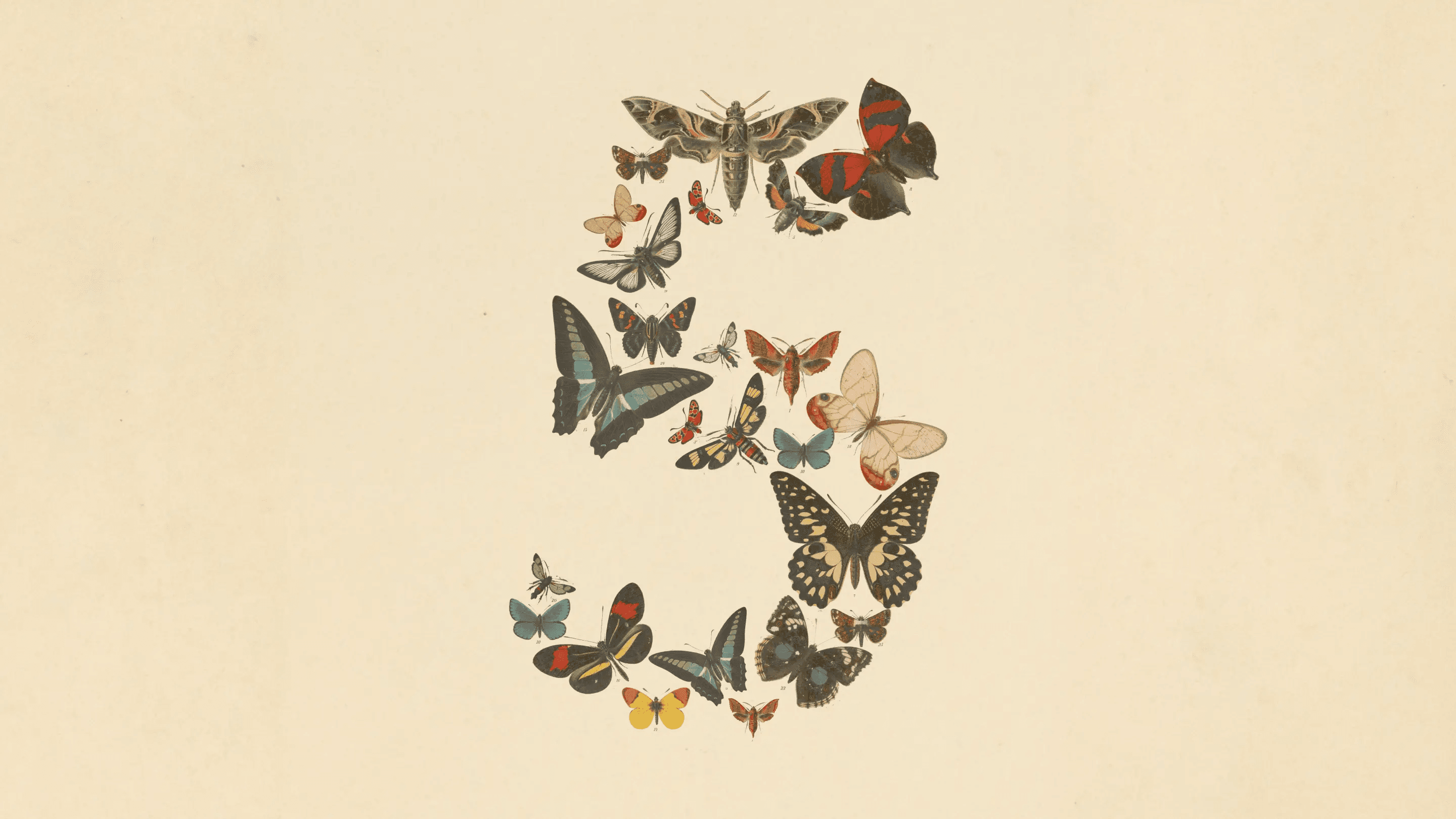 Anthropic Releases Claude Fable 5: The Next Generation of AI Capability